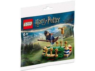 LEGO Harry Potter Wizarding World Quidditch Practice Polybag 30651