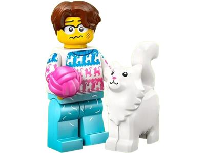 LEGO Minifigure Series 27 - Crazy Cat Lover (71048) SEALED – BrickVibe