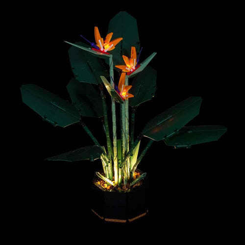 Lighting Kit for LEGO Bird of Paradise 10289 (Building Set Not Included)