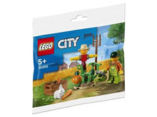 LEGO City Farm Scarecrow Polybag 30590